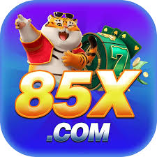 85x.COM